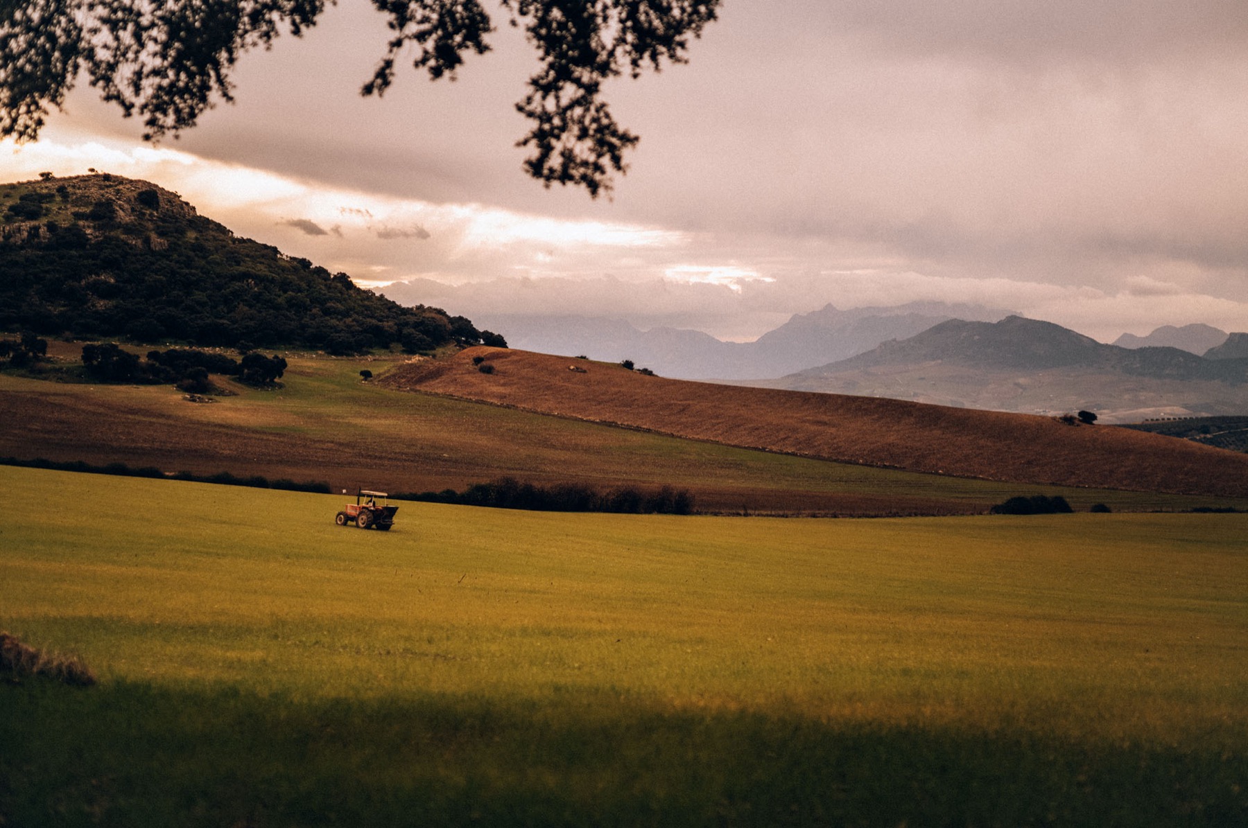 The sierra seen from the estate